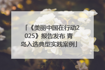 《美丽中国在行动2025》报告发布 青岛入选典型实践案例