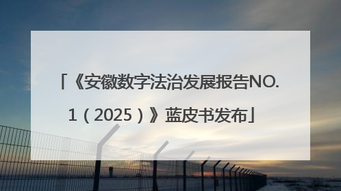 《安徽数字法治发展报告NO.1（2025）》蓝皮书发布