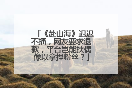 《赴山海》迟迟不播，网友要求退款，平台岂能挟偶像以拿捏粉丝？