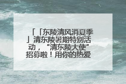 「东陵清风消夏季」清东陵暑期特别活动，“清东陵大使”招募啦！用你的热爱守护世界遗产！