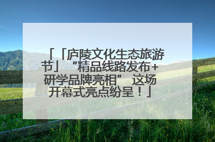 「庐陵文化生态旅游节」“精品线路发布+研学品牌亮相” 这场开幕式亮点纷呈！
