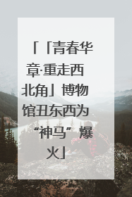「青春华章·重走西北角」博物馆丑东西为“神马”爆火