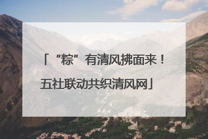 “粽”有清风拂面来！五社联动共织清风网