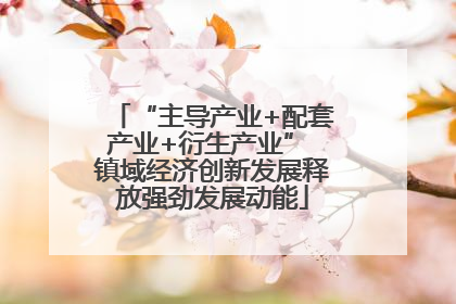 “主导产业+配套产业+衍生产业” 镇域经济创新发展释放强劲发展动能