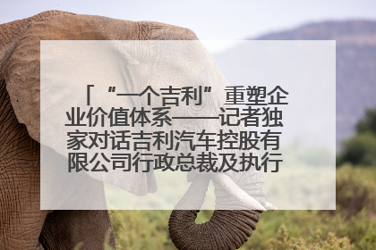 “一个吉利”重塑企业价值体系——记者独家对话吉利汽车控股有限公司行政总裁及执行董事桂生悦