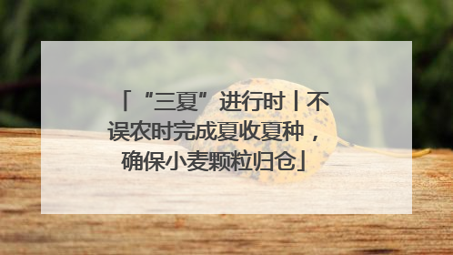 “三夏”进行时丨不误农时完成夏收夏种，确保小麦颗粒归仓