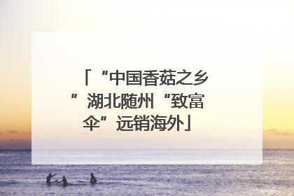 “中国香菇之乡”湖北随州“致富伞”远销海外