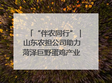 “伴农同行”｜山东农担公司助力菏泽巨野蛋鸡产业高质量发展