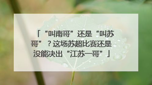 “叫南哥”还是“叫苏哥”？这场苏超比赛还是没能决出“江苏一哥”