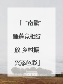 “南繁”睡莲竞相绽放 乡村振兴添色彩