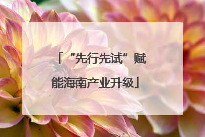 “先行先试”赋能海南产业升级