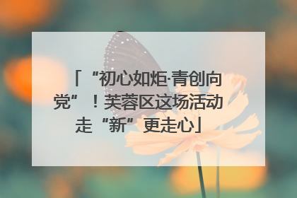 “初心如炬·青创向党”！芙蓉区这场活动走“新”更走心