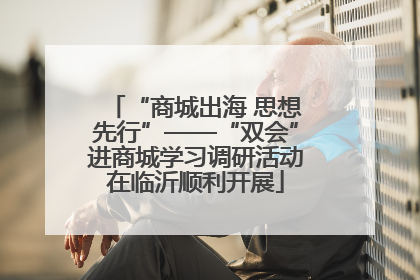 “商城出海 思想先行”——“双会”进商城学习调研活动在临沂顺利开展
