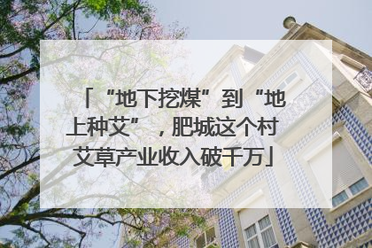 “地下挖煤”到“地上种艾”，肥城这个村艾草产业收入破千万