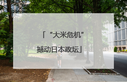 “大米危机”撼动日本政坛