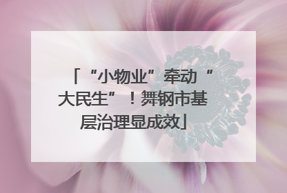 “小物业”牵动“大民生”！舞钢市基层治理显成效