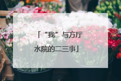 “我”与方厅水院的二三事