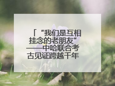 “我们是互相挂念的老朋友”——中哈联合考古见证跨越千年的文明交响