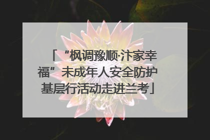 “枫调豫顺·汴家幸福”未成年人安全防护基层行活动走进兰考