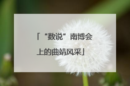 “数说”南博会上的曲靖风采