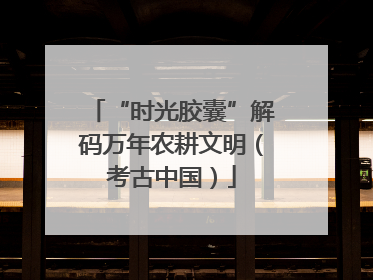 “时光胶囊”解码万年农耕文明（考古中国）