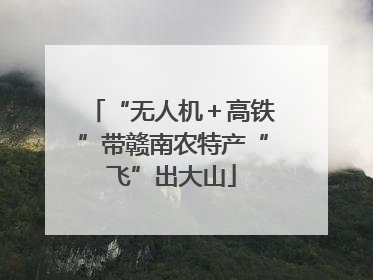 “无人机＋高铁”带赣南农特产“飞”出大山
