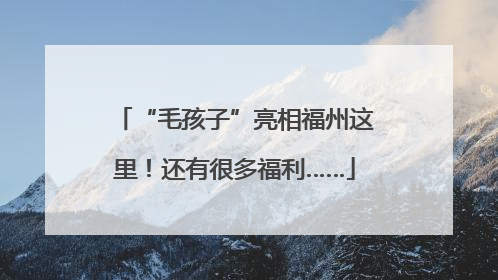 “毛孩子”亮相福州这里！还有很多福利……