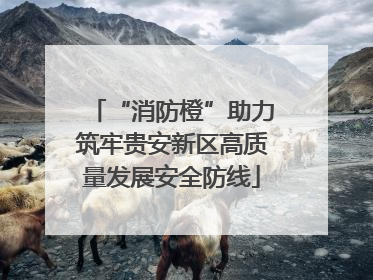 “消防橙”助力筑牢贵安新区高质量发展安全防线