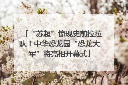 “苏超”惊现史前拉拉队！中华恐龙园“恐龙大军”将亮相开幕式