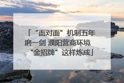 “面对面”机制五年磨一剑 濮阳营商环境“金招牌”这样炼成