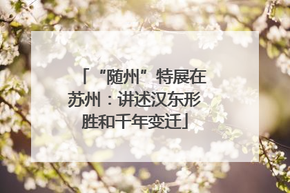“随州”特展在苏州：讲述汉东形胜和千年变迁