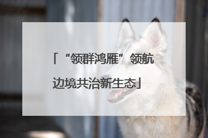 “领群鸿雁”领航边境共治新生态