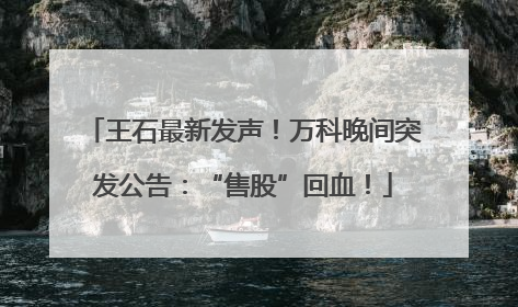 王石最新发声！万科晚间突发公告：“售股”回血！