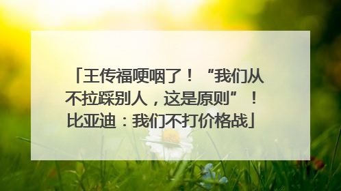 王传福哽咽了！“我们从不拉踩别人，这是原则”！比亚迪：我们不打价格战