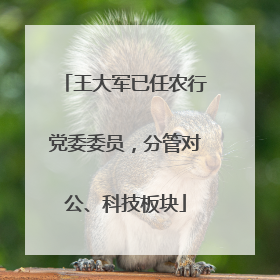 王大军已任农行党委委员，分管对公、科技板块