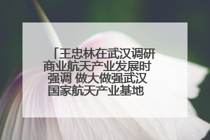 王忠林在武汉调研商业航天产业发展时强调 做大做强武汉国家航天产业基地 打造具有全国影响力的“中国星谷”