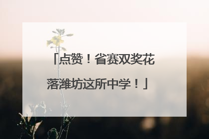 点赞！省赛双奖花落潍坊这所中学！