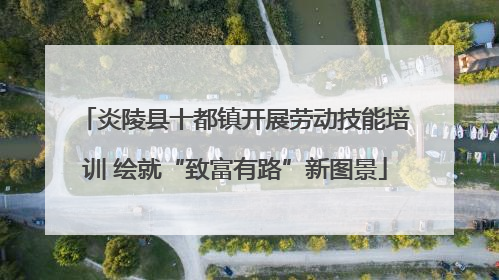 炎陵县十都镇开展劳动技能培训 绘就“致富有路”新图景