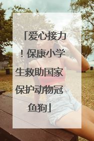 爱心接力！保康小学生救助国家保护动物冠鱼狗