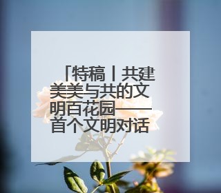 特稿丨共建美美与共的文明百花园——首个文明对话国际日全球巡礼
