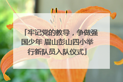牢记党的教导，争做强国少年 眉山彭山四小举行新队员入队仪式