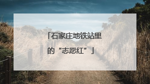 石家庄地铁站里的“志愿红”