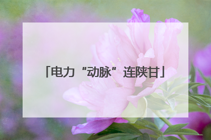 电力“动脉”连陕甘