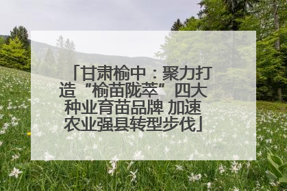 甘肃榆中：聚力打造“榆苗陇萃”四大种业育苗品牌 加速农业强县转型步伐