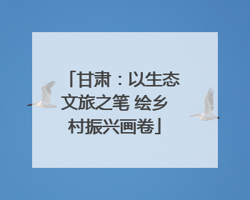 甘肃：以生态文旅之笔 绘乡村振兴画卷