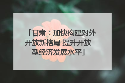甘肃：加快构建对外开放新格局 提升开放型经济发展水平