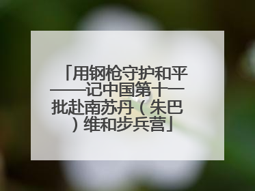 用钢枪守护和平——记中国第十一批赴南苏丹（朱巴）维和步兵营