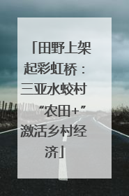 田野上架起彩虹桥：三亚水蛟村“农田+”激活乡村经济