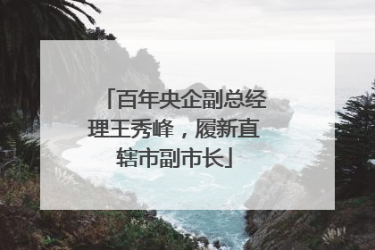 百年央企副总经理王秀峰，履新直辖市副市长