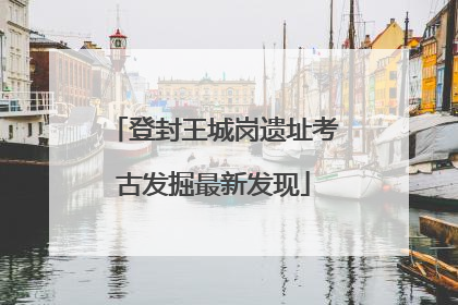 登封王城岗遗址考古发掘最新发现